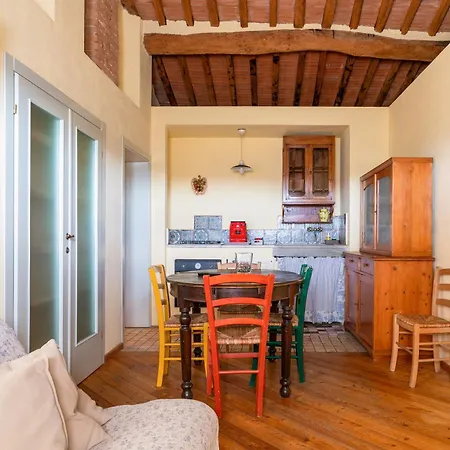 Alpaca Montecastello