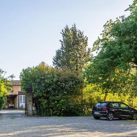 Alpaca * Montecastello